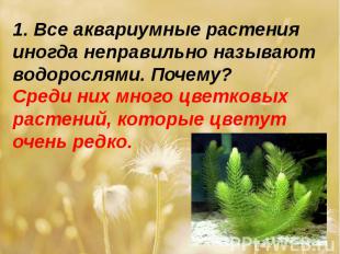 1. Все аквариумные растения иногда неправильно называют водорослями. Почему? Сре