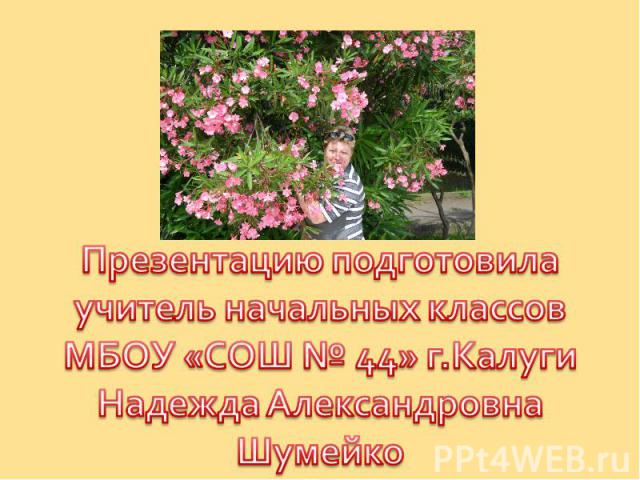 Презентацию подготовилаучитель начальных классовМБОУ «СОШ № 44» г.КалугиНадежда АлександровнаШумейко