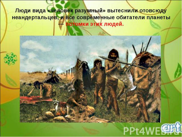 Люди вида «человек разумный» вытеснили отовсюду неандертальцев, и все современные обитатели планеты — потомки этих людей.