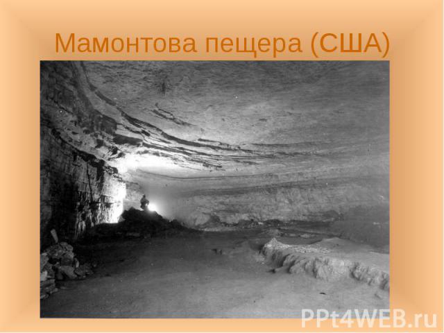 Мамонтова пещера (США)
