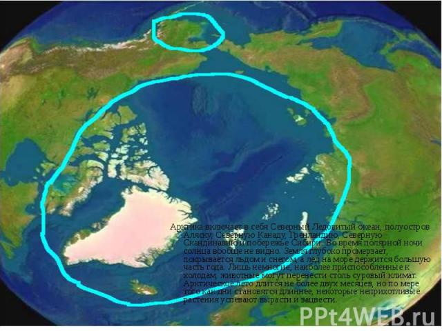 Арктика включает в себя Северный Ледовитый океан, полуостров Аляску, Северную Канаду, Гренландию, Северную Скандинавию и побережье Сибири. Во время полярной ночи солнца вообще не видно. Земля глубоко промерзает, покрывается льдом и снегом, а лед на …