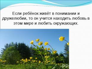 Если ребёнок живёт в понимании и дружелюбии, то он учится находить любовь в этом