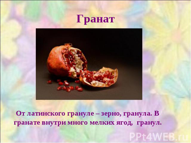 Гранат От латинского грануле – зерно, гранула. В гранате внутри много мелких ягод, гранул.