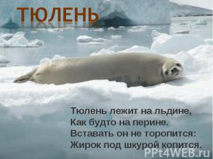 ТюленьТюлень лежит на льдине,Как будто на перине.Вставать он не торопится:Жирок