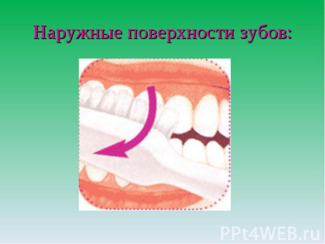 Наружные поверхности зубов: