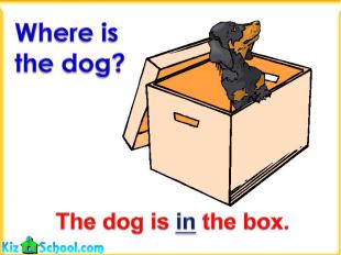 Where is the dog?The dog is in the box.