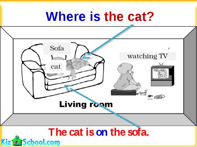 Where is the cat?The cat is on the sofa.