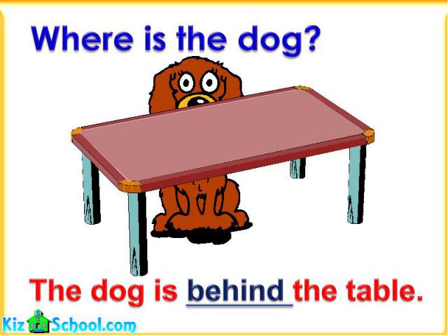 Where is the dog?The dog is behind the table.