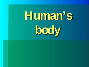 Human’s body Учителя английского языка Васильевой Е.Н.Для 3-х классов