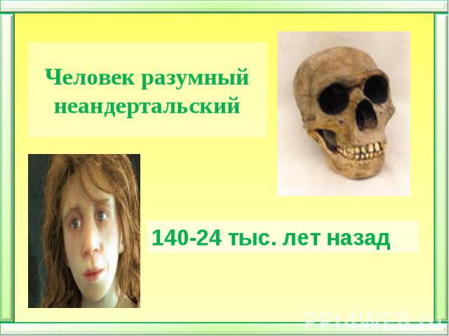 Человек разумный неандертальский140-24 тыс. лет назад