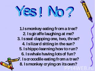 Yes ! No ?1.Is monkey eating from a tree?2. Is giraffe laughing at me?3. Is seal