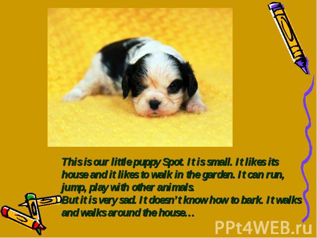 This is our little puppy Spot. It is small. It likes its house and it likes to walk in the garden. It can run, jump, play with other animals. But it is very sad. It doesn’t know how to bark. It walks and walks around the house…