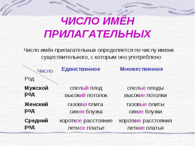 ЧИСЛО ИМЁН ПРИЛАГАТЕЛЬНЫХ Число имён прилагательных определяется по числу имени существительного, с которым оно употреблено