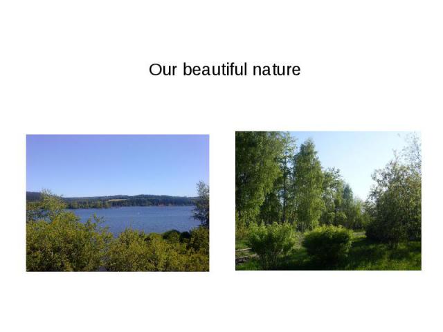 Our beautiful nature