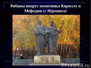 Рябины вокруг памятника Кириллу и Мефодию (г Мурманск)