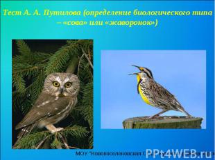 Тест А. А. Путилова (определение биологического типа – «сова» или «жаворонок»)