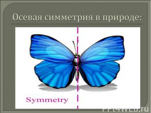 Осевая симметрия в природе: