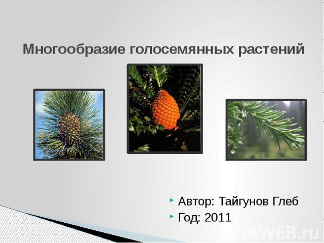Многообразие голосемянных растений Автор: Тайгунов Глеб Год: 2011
