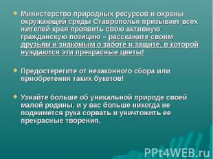Министерство природных ресурсов и охраны окружающей среды Ставрополья призывает
