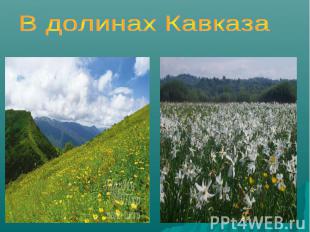 В долинах Кавказа