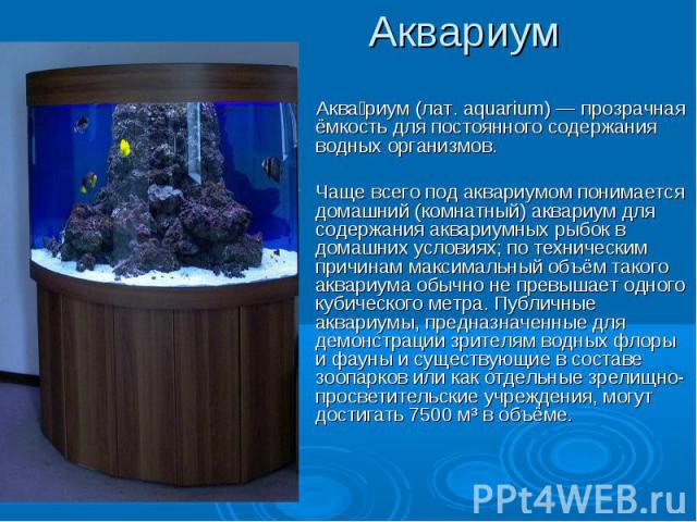 Аквариум Аквариум (лат. aquarium) — прозрачная ёмкость для постоянного содержания водных организмов.Чаще всего под аквариумом понимается домашний (комнатный) аквариум для содержания аквариумных рыбок в домашних условиях; по техническим причинам макс…
