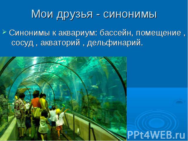 Мои друзья - синонимыСинонимы к аквариум: бассейн, помещение , сосуд , акваторий , дельфинарий.