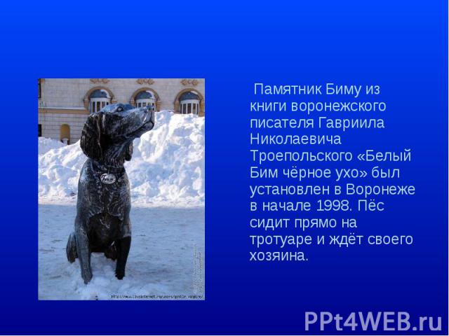 Памятник Биму из книги воронежского писателя Гавриила Николаевича Троепольского «Белый Бим чёрное ухо» был установлен в Воронеже в начале 1998. Пёс сидит прямо на тротуаре и ждёт своего хозяина.
