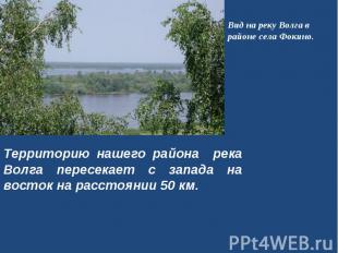 Вид на реку Волга в районе села Фокино. Территорию нашего района река Волга пере