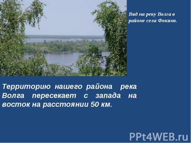 Вид на реку Волга в районе села Фокино. Территорию нашего района река Волга пересекает с запада на восток на расстоянии 50 км.