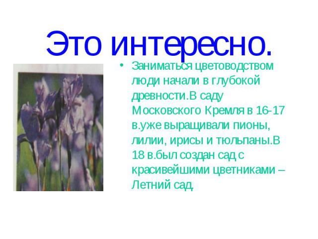 Это интересно.Заниматься цветоводством люди начали в глубокой древности.В саду Московского Кремля в 16-17 в.уже выращивали пионы, лилии, ирисы и тюльпаны.В 18 в.был создан сад с красивейшими цветниками – Летний сад.