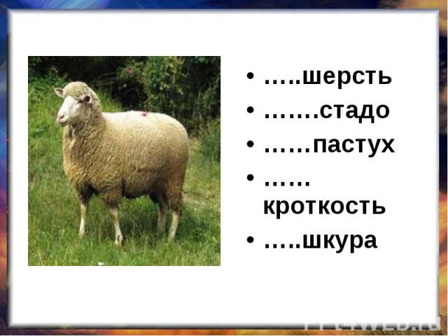 …..шерсть…….стадо……пастух……кроткость…..шкура