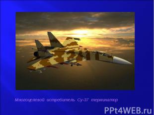Многоцелевой истребитель Су-37 терминатор
