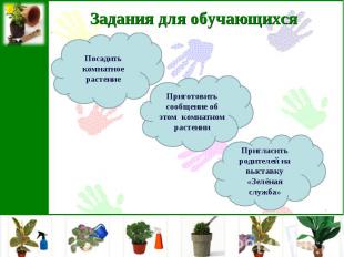 Задания для обучающихсяПосадить комнатное растениеПриготовить сообщение об этом