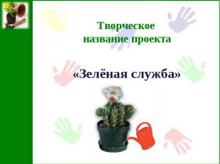 Творческое название проекта«Зелёная служба»