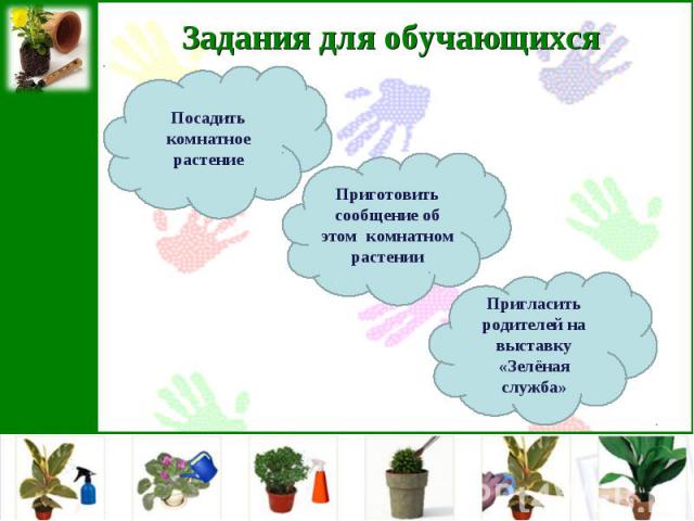 Задания для обучающихсяПосадить комнатное растениеПриготовить сообщение об этом комнатном растенииПригласить родителей на выставку «Зелёная служба»