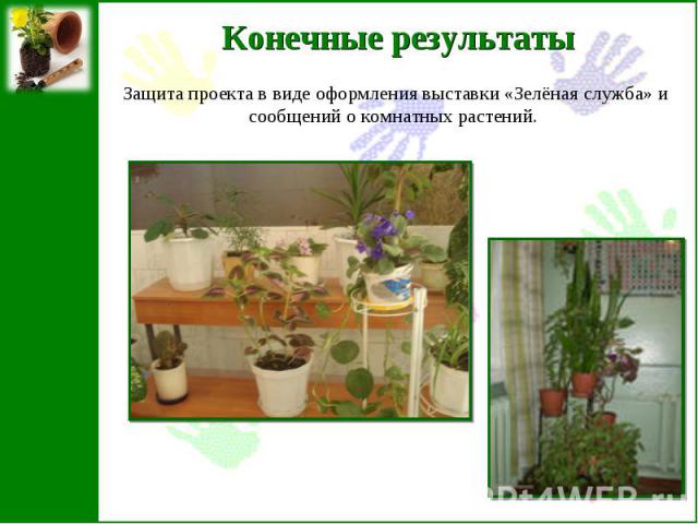 Конечные результатыЗащита проекта в виде оформления выставки «Зелёная служба» и сообщений о комнатных растений.