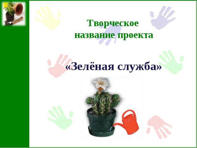 Творческое название проекта«Зелёная служба»