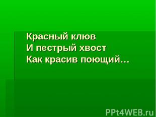 Красный клювИ пестрый хвостКак красив поющий…