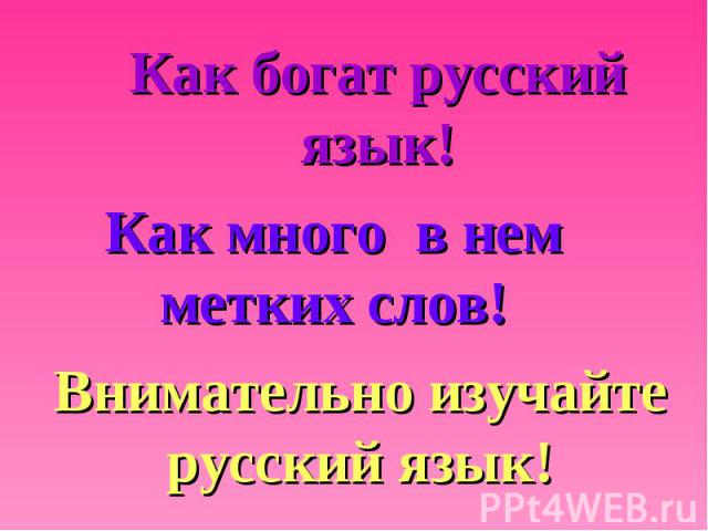 Как богат русский язык!Как много в нем метких слов!Внимательно изучайте русский язык!
