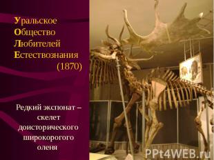 УральскоеОбществоЛюбителейЕстествознания (1870)Редкий экспонат – скелет доистори