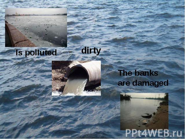 Is polluteddirtyThe banks are damaged