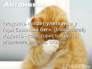 Антонимы«Радость ползёт улиткой, а у горя бешеный бег». (Маяковский)Радость - го