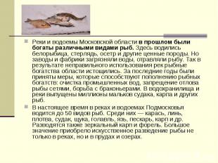 Реки и водоемы Московской области в прошлом были богаты различными видами рыб. З
