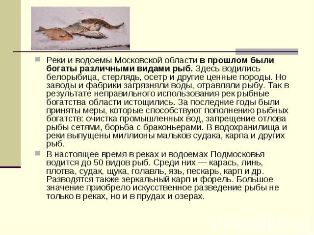 Реки и водоемы Московской области в прошлом были богаты различными видами рыб. Здесь водились белорыбица, стерлядь, осетр и другие ценные породы. Но заводы и фабрики загрязняли воды, отравляли рыбу. Так в результате неправильного использования рек р…