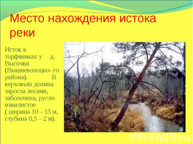 Место нахождения истока рекиИсток в торфяниках у д. Высочки (Вышневолоцко- го района). В верховьях долина заросла лесами, заболочена, русло извилистое ( ширина 10 – 15 м, глубина 0,5 – 2 м).