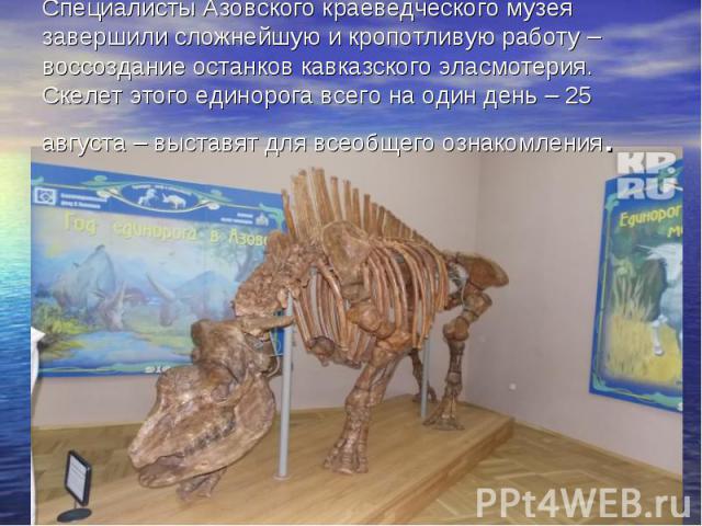 Специалисты Азовского краеведческого музея завершили сложнейшую и кропотливую работу – воссоздание останков кавказского эласмотерия. Скелет этого единорога всего на один день – 25 августа – выставят для всеобщего ознакомления.