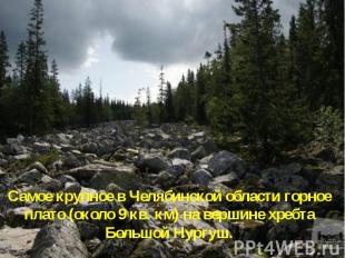 Самое крупное в Челябинской области горное плато (около 9 кв. км) на вершине хре