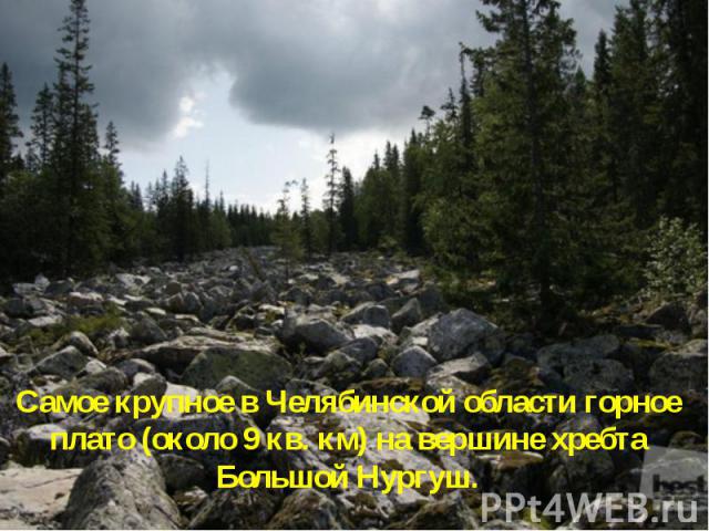 Самое крупное в Челябинской области горное плато (около 9 кв. км) на вершине хребта Большой Нургуш.