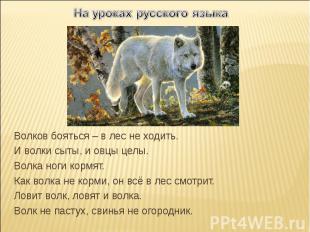 На уроках русского языкаВолков бояться – в лес не ходить.И волки сыты, и овцы це