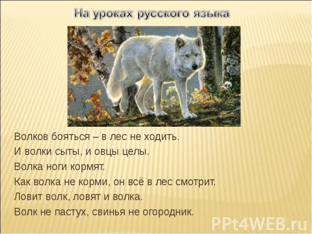 На уроках русского языкаВолков бояться – в лес не ходить.И волки сыты, и овцы целы. Волка ноги кормят.Как волка не корми, он всё в лес смотрит.Ловит волк, ловят и волка. Волк не пастух, свинья не огородник.